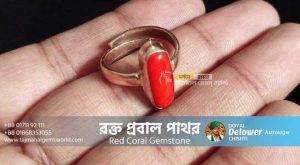 Red Coral Moonga Gemstone (রক্ত প্রবাল পাথরের উপকারিতা) - www.tajmahalgemsworld.com