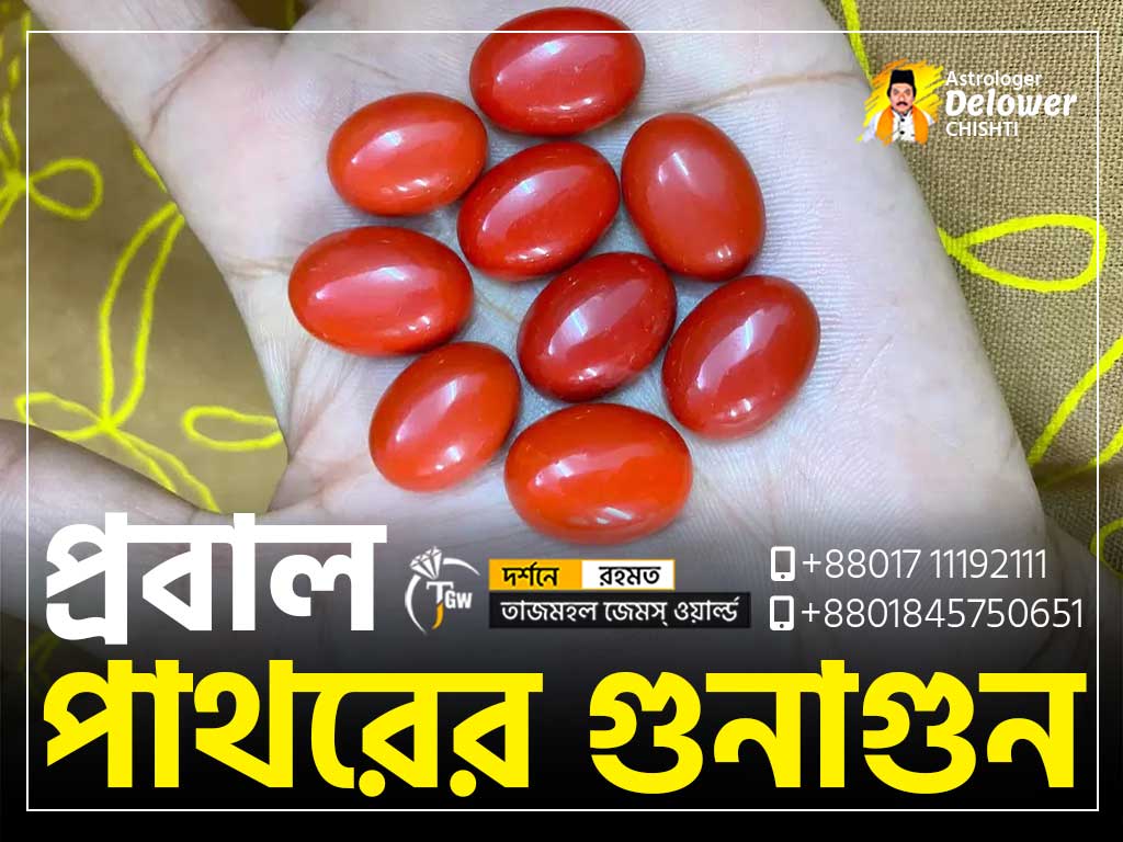 Astrological Benefits Red Coral (রক্ত প্রবাল পাথরের গুনাগুন)www.tajmahalgemsworld.com