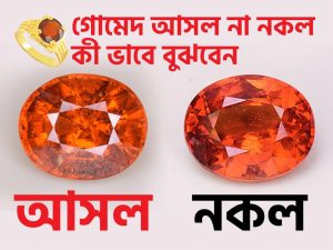 গোমেদ পাথর চেনার উপায় How To Check Garnet Stone Tajmahal Gems World