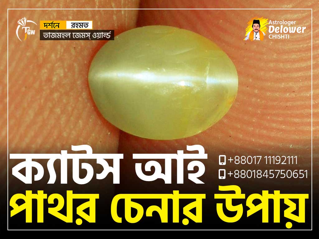 ক্যাটস আই পাথর চেনার উপায় (How to identify CatsEye Gemstone)