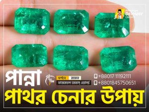 Real-or-Fake-Emerald-Stone-(পান্না-পাথর-চেনার-উপায়)-www.tajmahalgemsworld.com