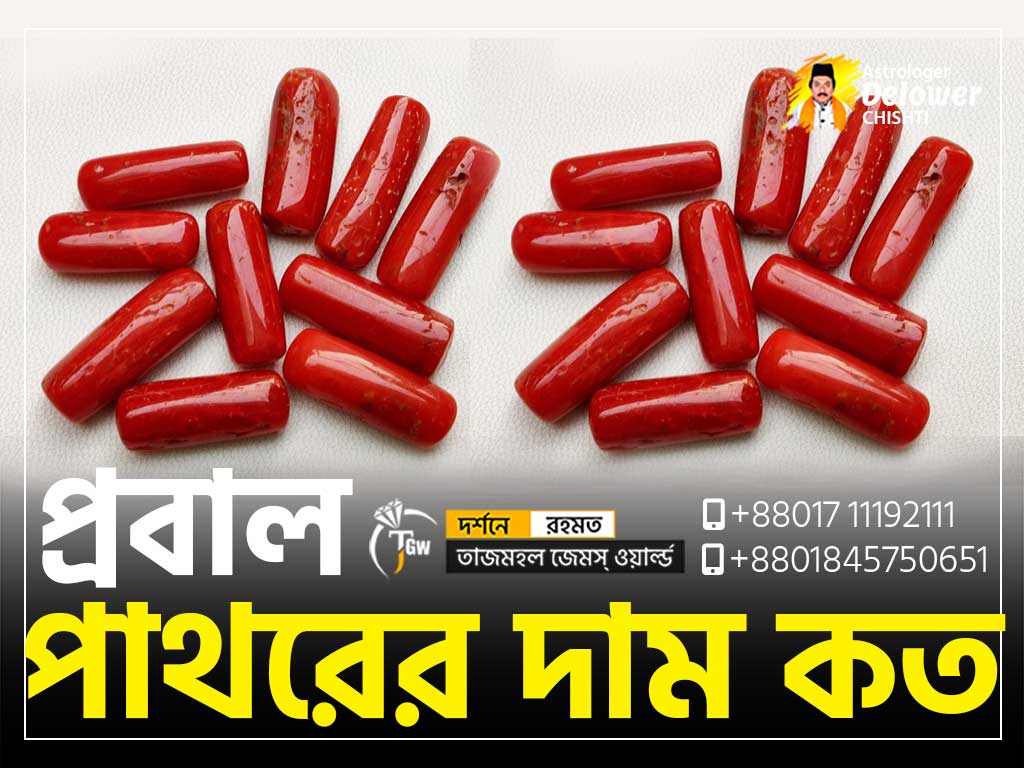 Red Coral (Moonga) Price (রক্ত প্রবাল পাথরের দাম কত) www.tajmahalgemsworld.com