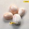 Natural Japani Coral Gemstone Oval Shape https://www.tajmahalgemsworld.com/