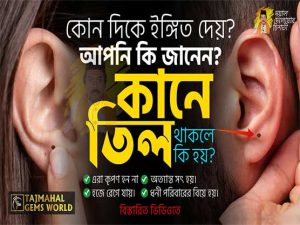 কানে তিল থাকলে কি হয়? চতুর, বুদ্ধিমান হন যাঁদের কানের এই স্থানে তিল থাকে। https://tajmahalgemsworld.com/