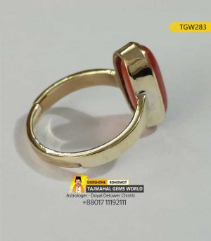 Red Coral (Moonga) Stone Panchdhatu Ring Price https://www.tajmahalgemsworld.com/