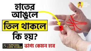 হাতের-আঙুলে-তিল-থাকলে-কি-হয়-তিল-দেখে-নিজের-ভাগ্য-জেনে-নিন tajmahalgemsworld.com