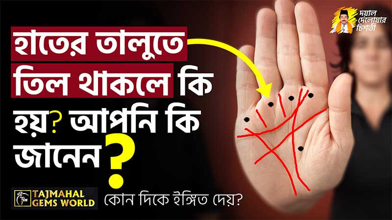 হাতের তালুতে তিল থাকলে কি হয় এই অংশে তিল থাকলে অর্থ আসবে প্রচুর! tajmahalgemsworld.com