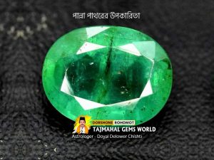 Benefits of Wearing Panna Stone Ring (রাশিরত্ন পান্না পাথরের উপকারিতা)