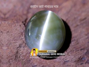 Cats Eye (Lahsuniya) Gemstone Price Listক্যাটস আই রত্নের দাম