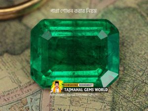 Suddha Sodhan Emerald Wearing Rules (রাশিরত্ন পান্না শোধনের নিয়ম)
