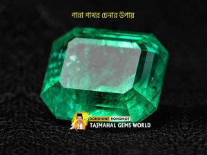 How To Identify Real Emerald Panna Stone (আসল পান্না চেনার উপায়)
