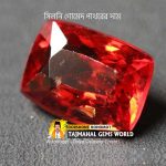 সিলনি গোমেদ পাথরের দাম (Selony Gomed Stone Price)
