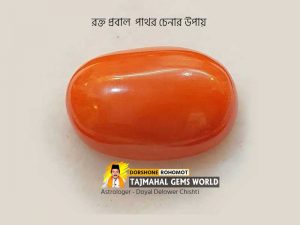 (প্রবাল পাথর চেনার উপায়) How To Check Real Coral Stone