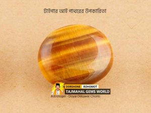 আসল টাইগার পাথরের উপকার (Benefits Of Wearing Tiger Stone)
