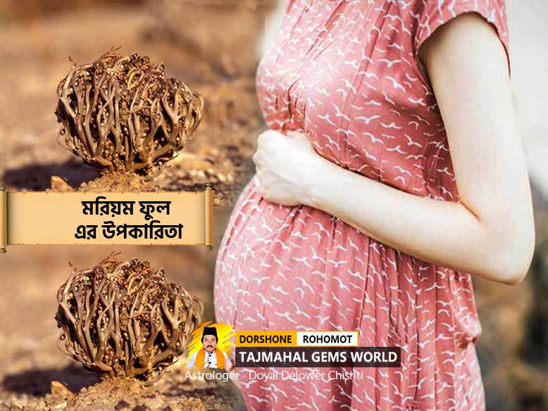 মরিয়ম ফুল এর উপকারিতা (Moriom Full Price in Bangladesh)