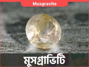 বিশ্বের সবচেয়ে দামি রত্নপাথরের দাম - Expensive Stones in the World Musgravite - $40,000 Per Carat
