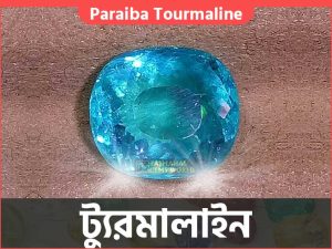বিশ্বের সবচেয়ে দামি রত্নপাথরের দাম - Expensive Stones in the World Paraiba Tourmaline $15,000 - $25,000 Per Carat