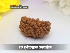 এক মুখী রুদ্রাক্ষ উপকারিতা