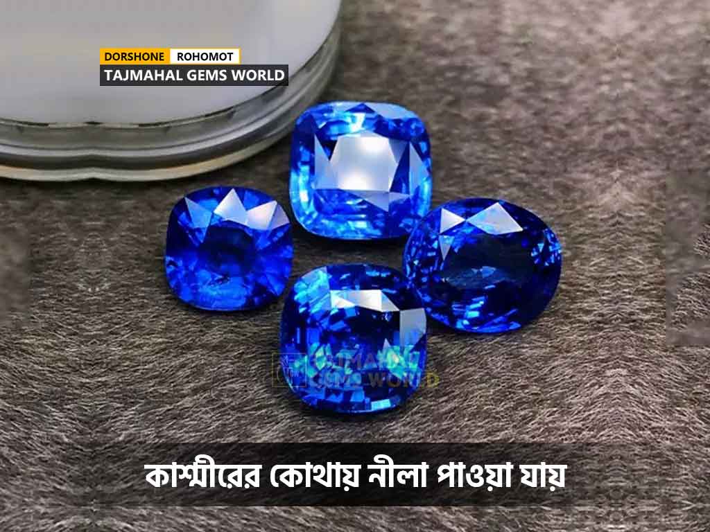 কাশ্মীরের কোথায় নীলা পাওয়া যায়