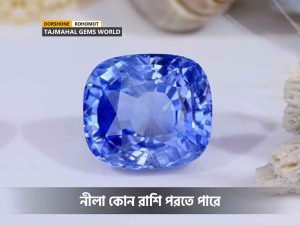 নীলা কোন রাশি পরতে পারে